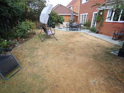 Picture 21